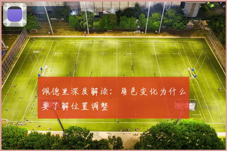 佩德里深度解读：角色变化为什么要了解位置调整