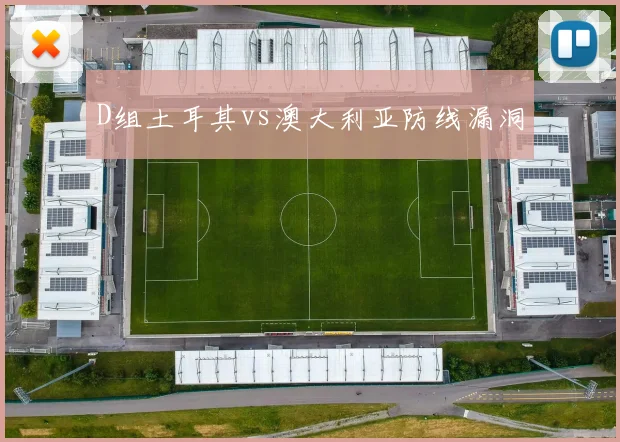 D组土耳其vs澳大利亚防线漏洞