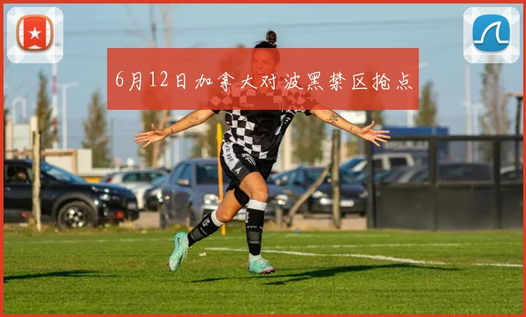 6月12日加拿大对波黑禁区抢点