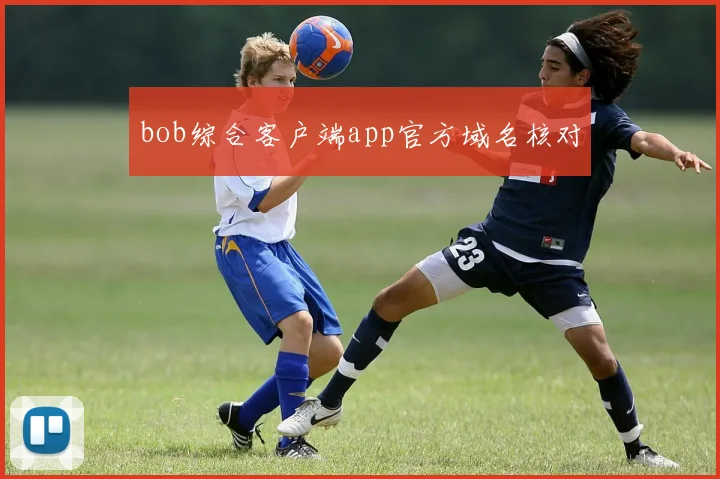 bob综合客户端app官方域名核对